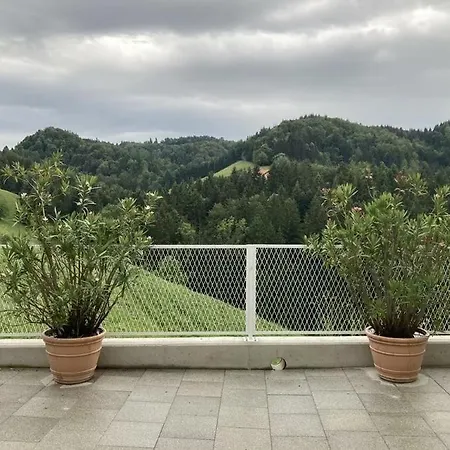 Am Weinberg Holiday home *